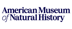 amoah logo